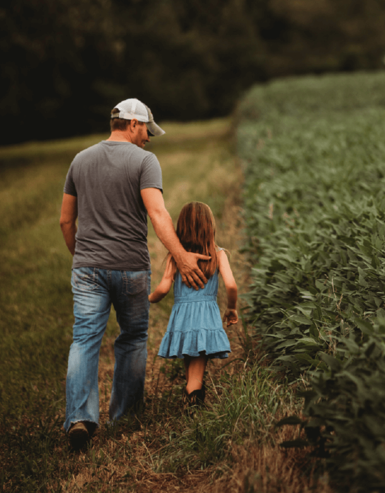 cover crops hero