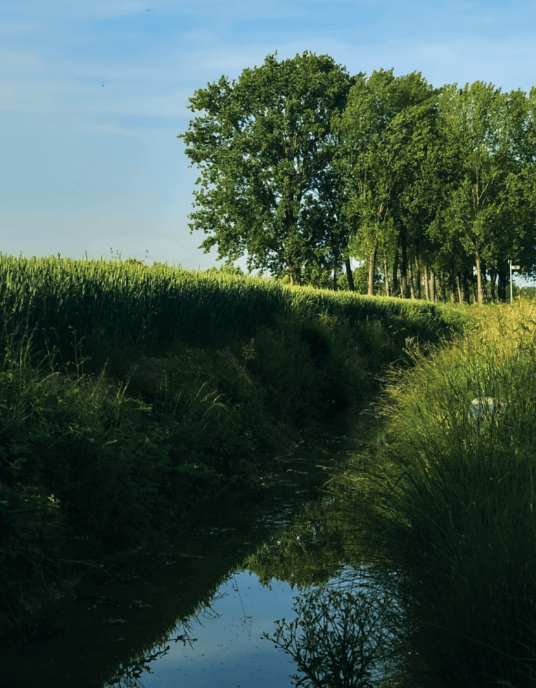 grass waterways hero