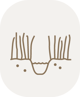 grass waterway icon