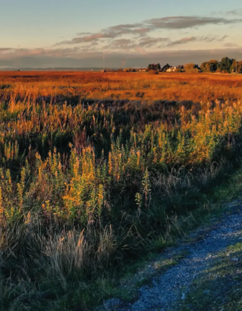 Riparian Buffer Zones hero