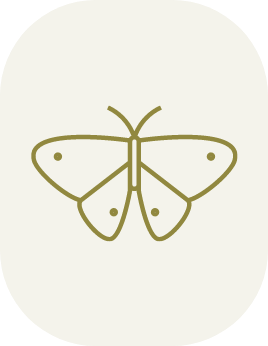 wildlife habitat icon